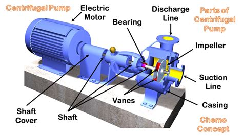 centrifugal pump without motor|centrifugal pump diagram and explanation.